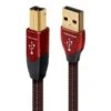 AudioQuest - Cinnamon USB B-Plug Cable -Music Player Store AAQUSBBCIN075M