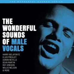 The Wonderful Sounds Of Male Vocals - Various Artists (Hybrid SACD)