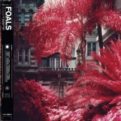 Foals - Everything Not Saved Will Be Lost: Part 1 (Vinyl LP)