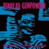 Pinhead Gunpowder - Goodbye Ellston Avenue (45rpm Colored Vinyl LP)