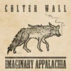 Colter Wall - Imaginary Appalachia (45rpm Vinyl EP) -Music Player Store LDW10326 65883.1657991238