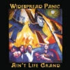 Widespread Panic - Ain't Life Grand (Colored Vinyl 2LP) -Music Player Store LDW665019 50846.1657999217