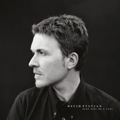 David Sylvian - Dead Bees On A Cake (Import Vinyl 2LP)