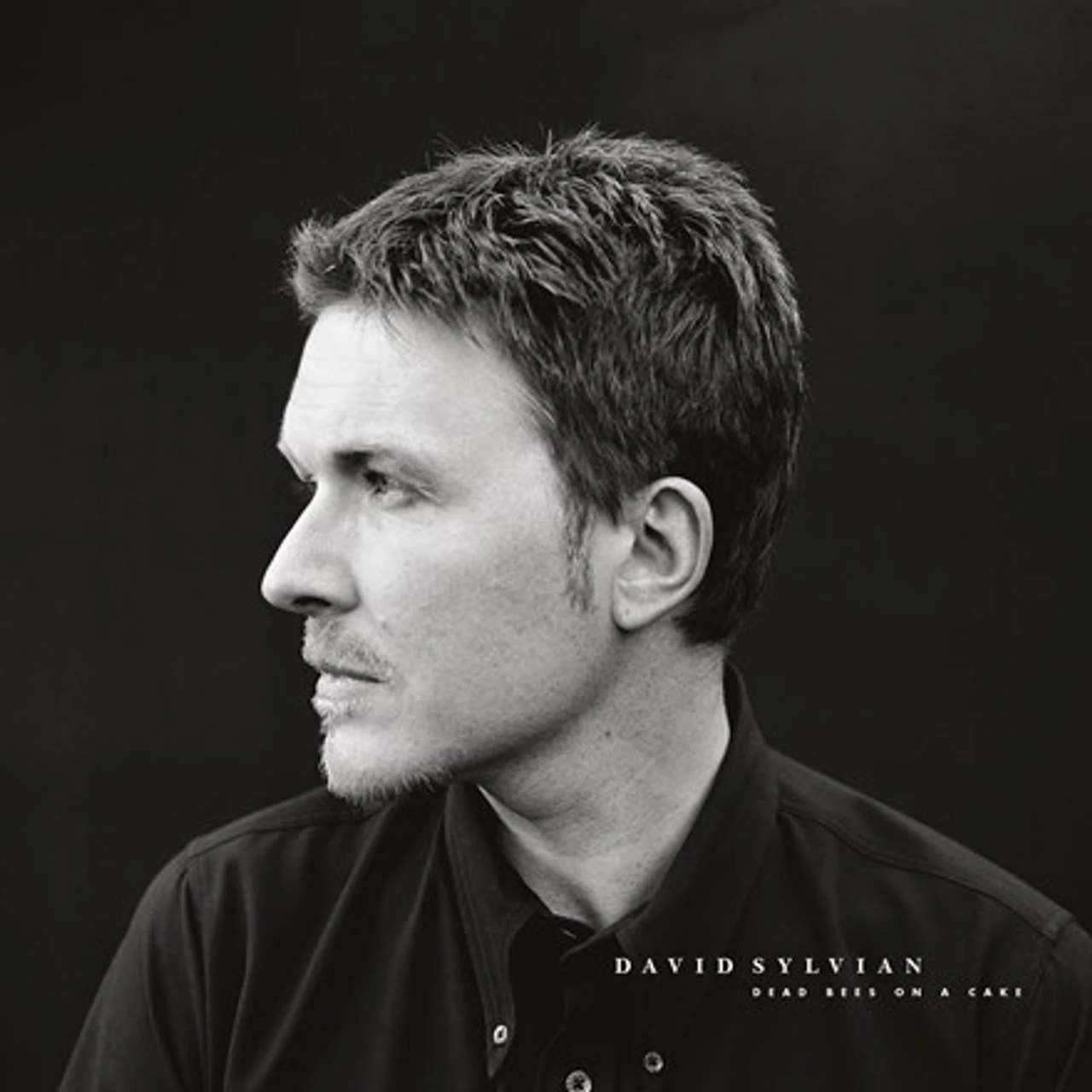 David Sylvian - Dead Bees On A Cake (Import Vinyl 2LP) 3 David Sylvian - Dead Bees On A Cake (Import Vinyl 2LP)