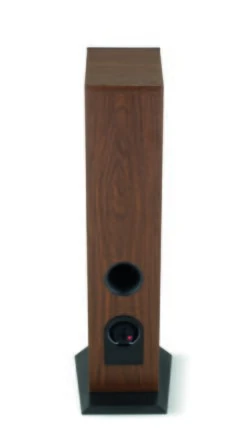 Focal - Theva N°2 Tower Speaker (Each) 11 Focal - Theva N°2 Tower Speaker (Each) -Music Player Store Theva N2 DW Dos