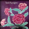 Todd Rundgren - Something/Anything? (45rpm Import Colored Vinyl 4LP Box Set) -Music Player Store toddrundgrensomething 83961.1687883663